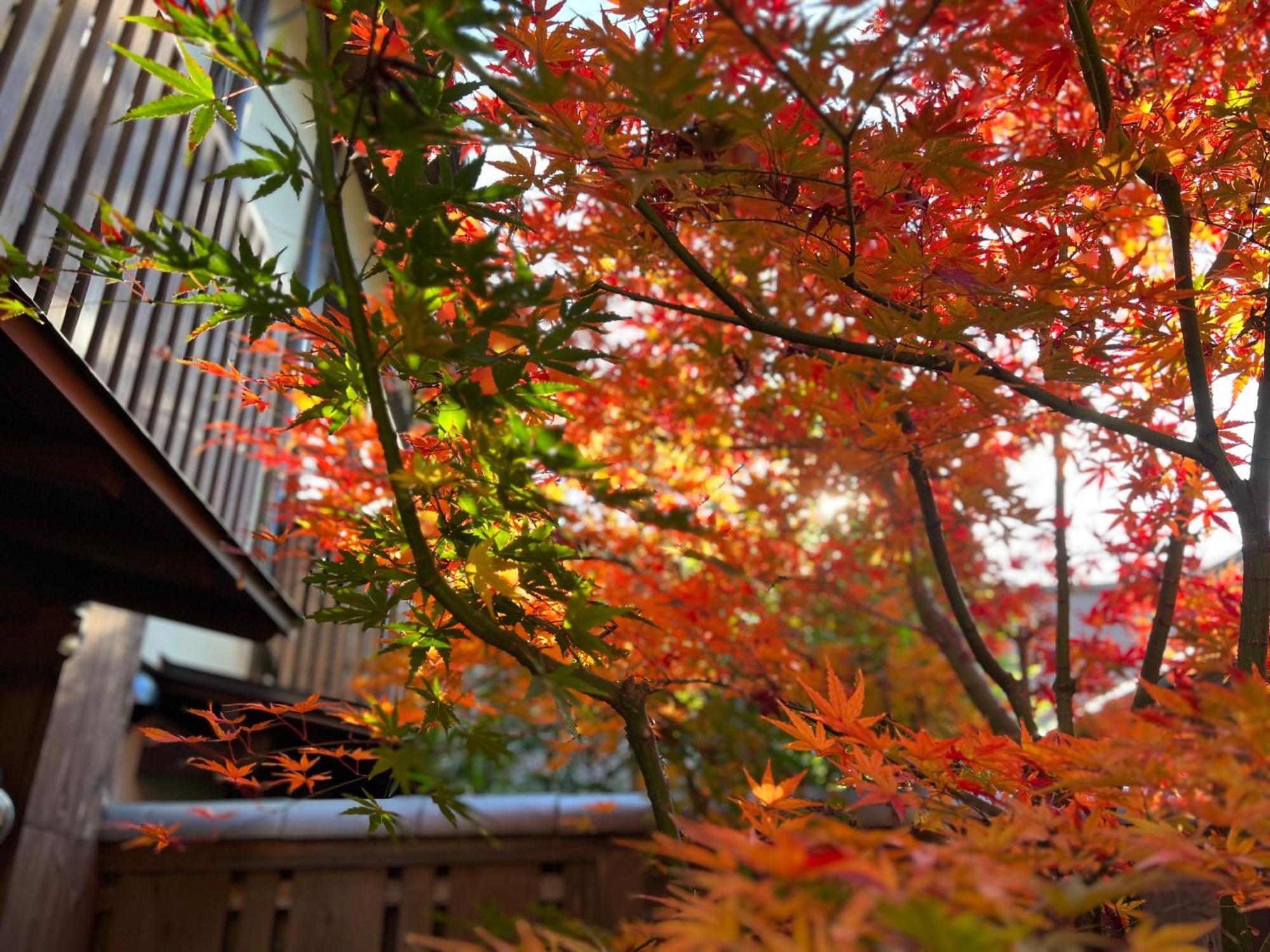 Imakumano Terrace - Dohachi An 道八庵 Villa Kyoto Buitenkant foto